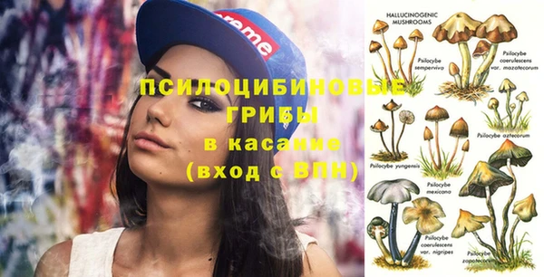 эйфоретик Алексеевка