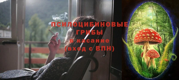бошки Алзамай