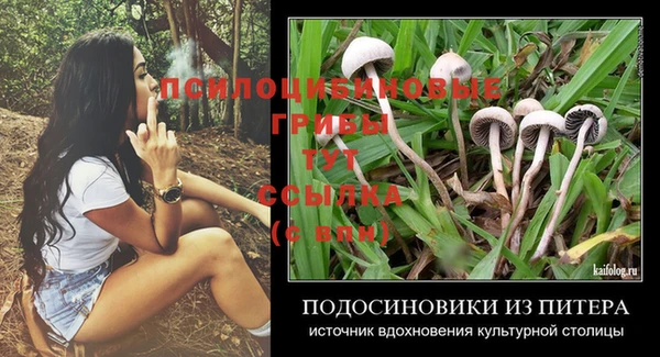 эйфоретик Алексеевка