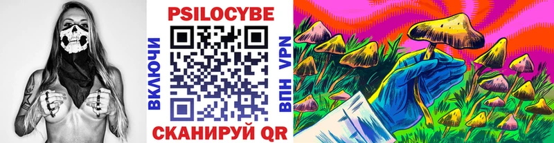 кракен ТОР  Бабушкин  Галлюциногенные грибы мицелий 